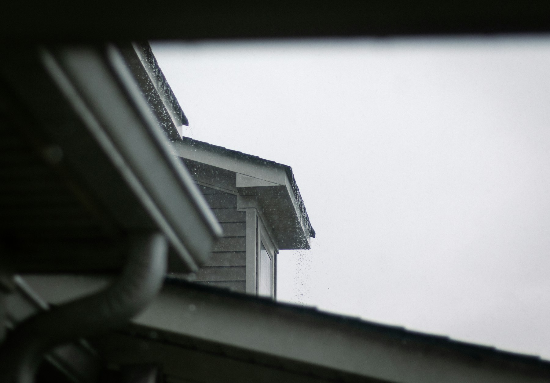 Gutter brightening and trim — Clearwater